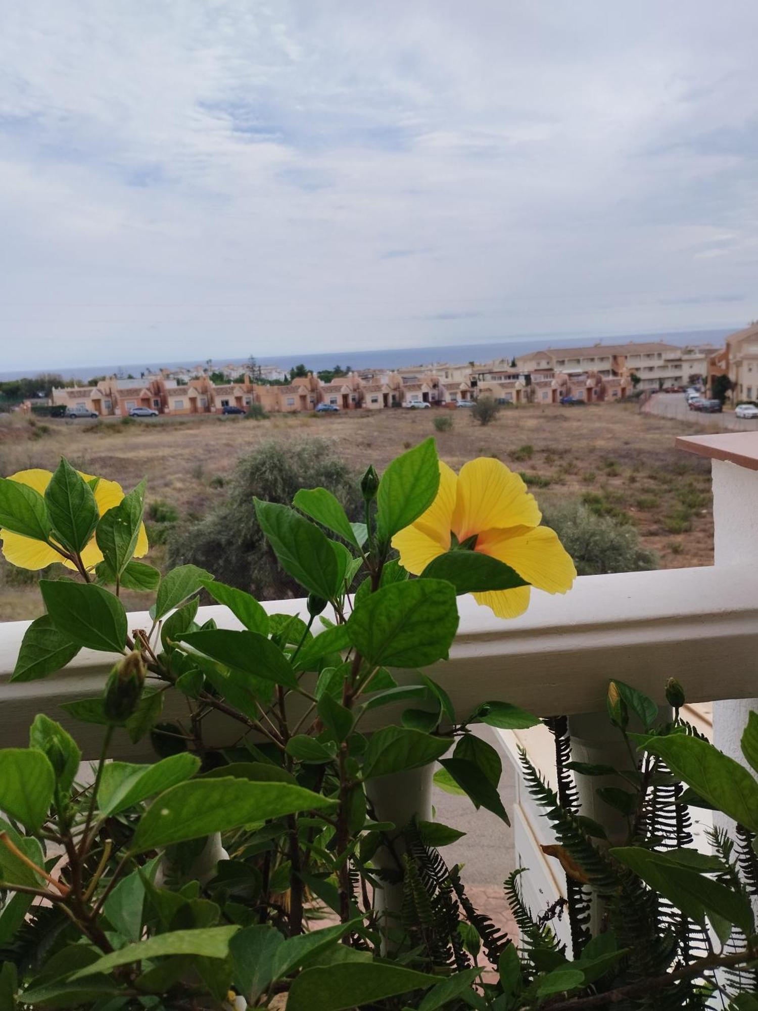 Casa Carino Apartamento Torrox Exterior foto